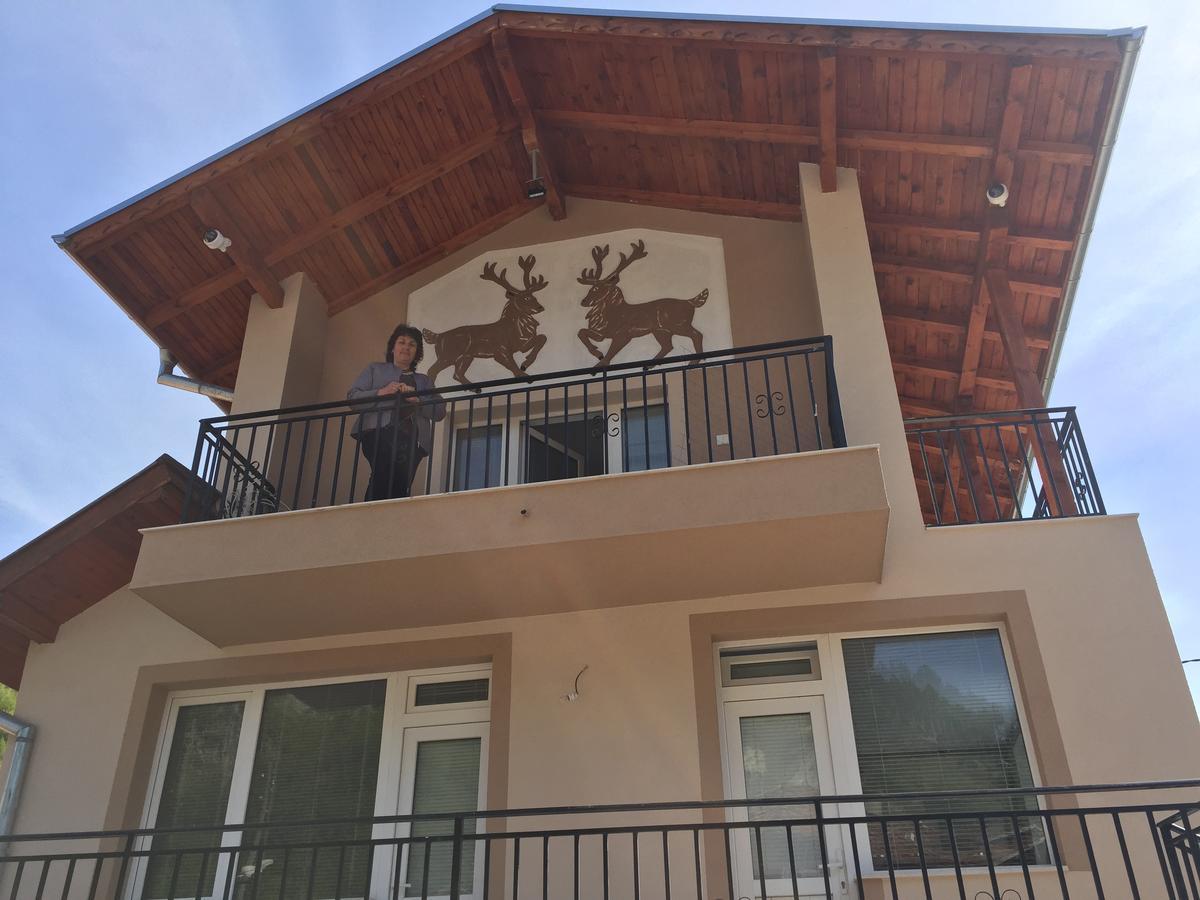 Elenite Guesthouse Гоце-Делчев Экстерьер фото